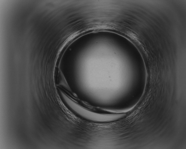 X0000052641181200507160149