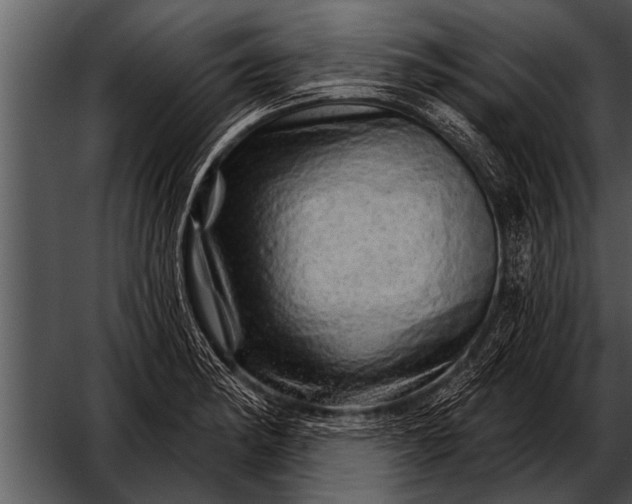 X0000052641182200507160149