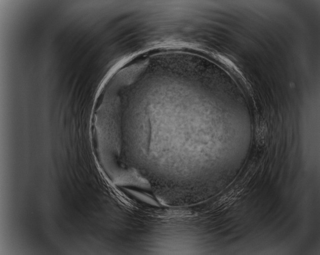 X0000052641183200507160149