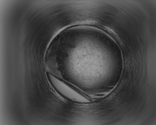 X0000052641184200507160149