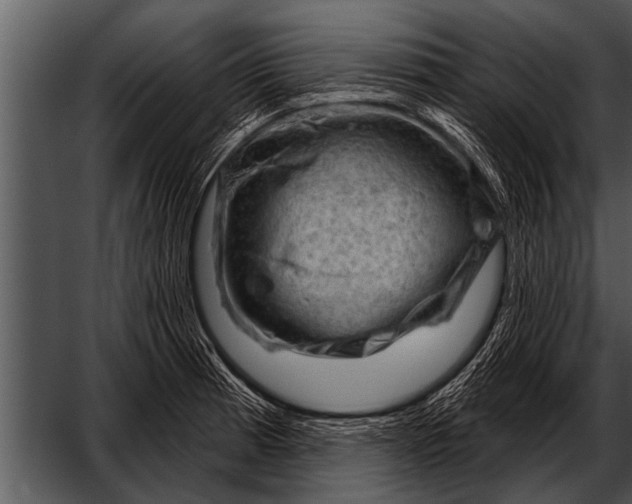 X0000052641185200507160149