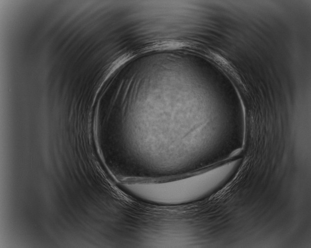 X0000052641186200507160149