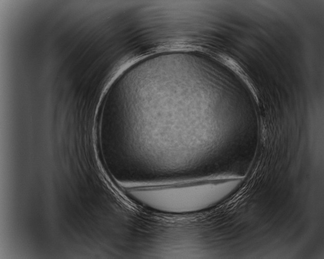 X0000052641187200507160149