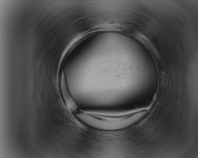 X0000052641188200507160149