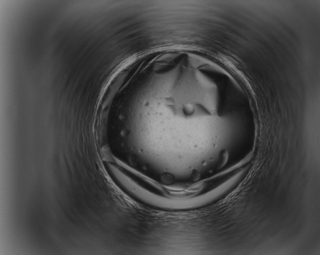 X0000052641189200507160149