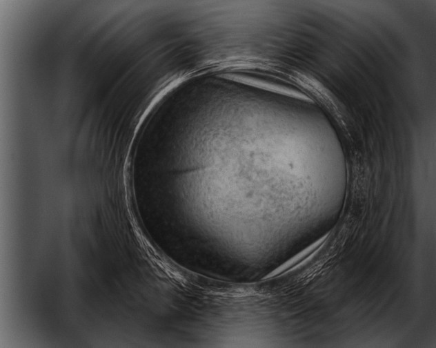 X0000052641190200507160149