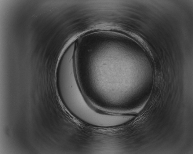 X0000052641191200507160149