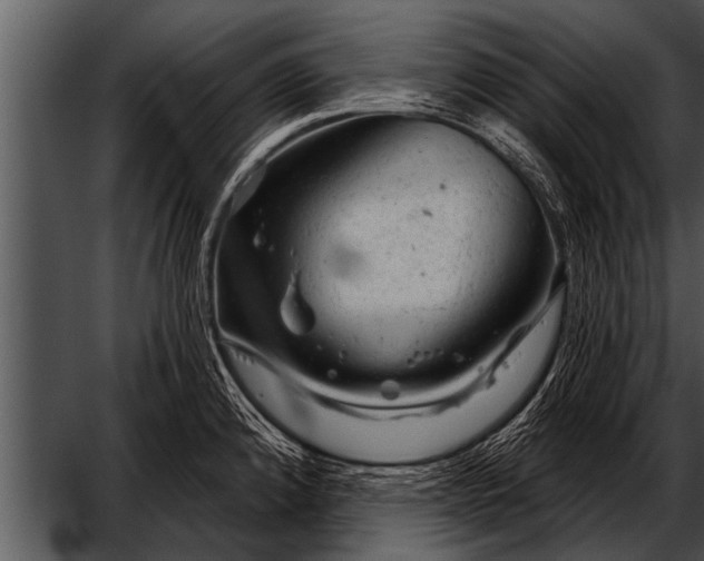 X0000052641192200507160149