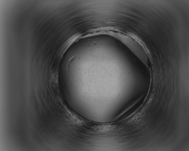 X0000052641193200507160149