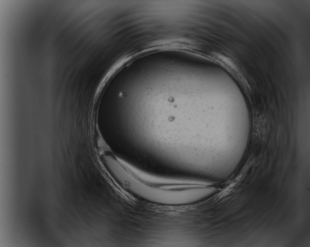 X0000052641196200507160148