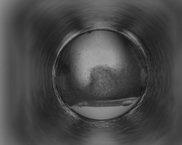 X0000052641198200507160148