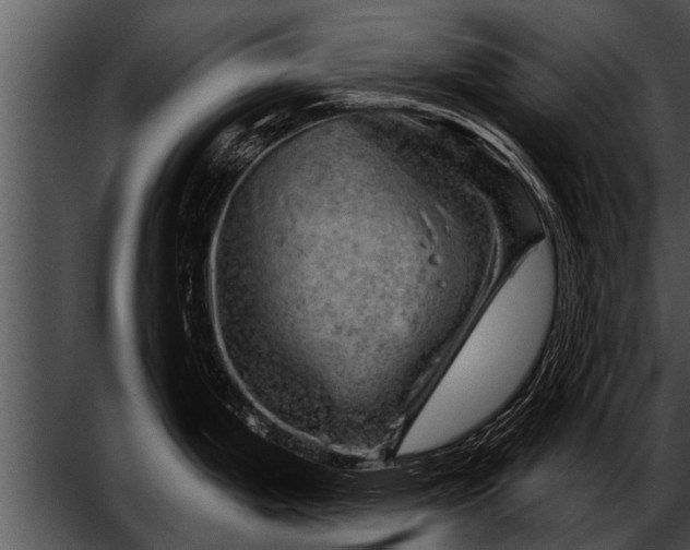 X0000052641199200507160148