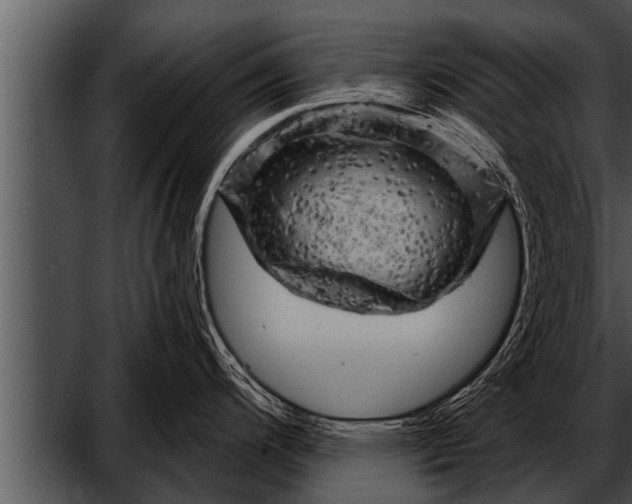 X0000052641200200507160148