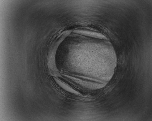 X0000052641201200507160148