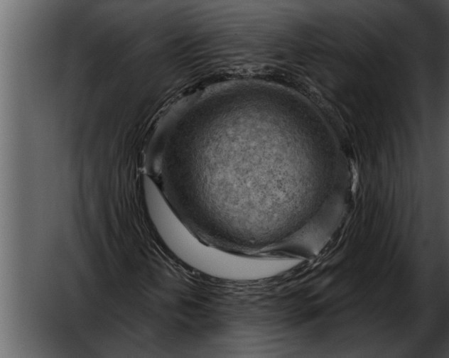 X0000052641202200507160148