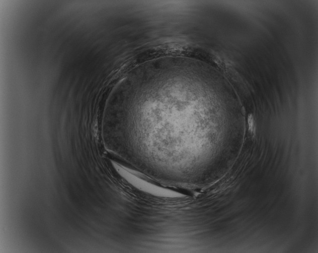 X0000052641203200507160148