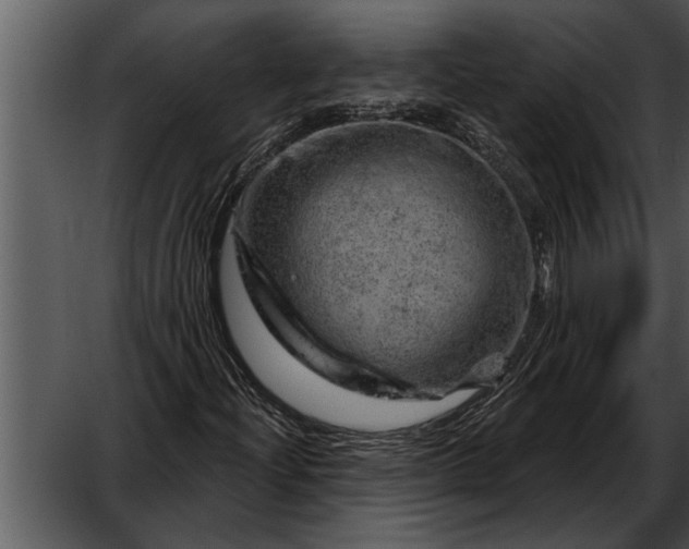 X0000052641204200507160148