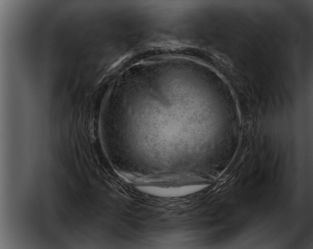 X0000052641205200507160148