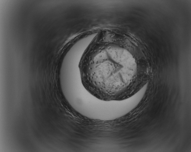 X0000052641206200507160148