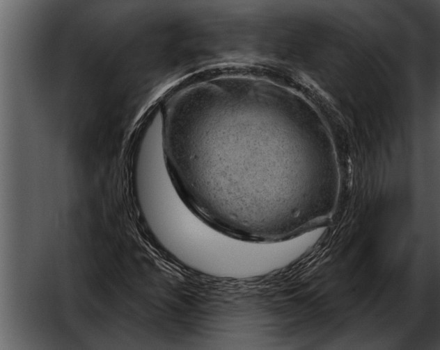 X0000052641208200507160148