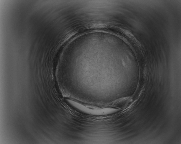 X0000052641209200507160148