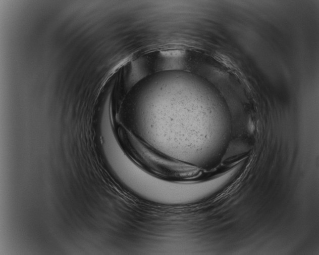 X0000052641210200507160148