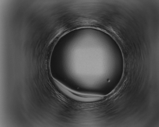 X0000052641211200507160148