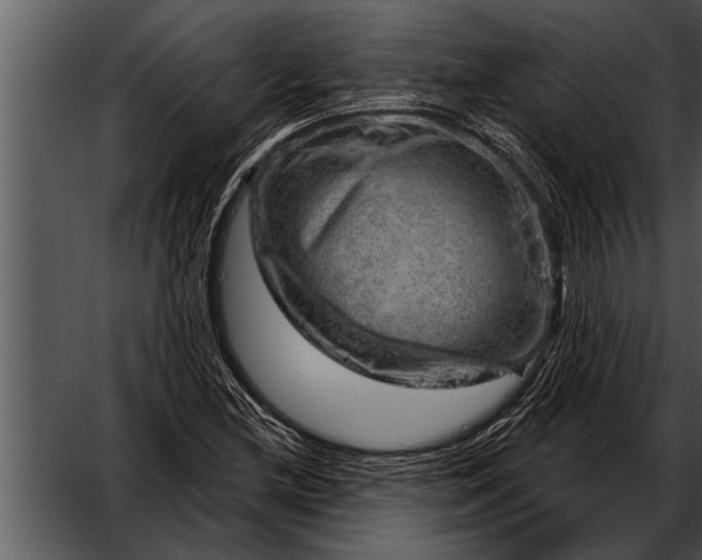 X0000052641212200507160148