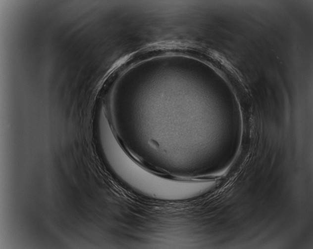 X0000052641213200507160148