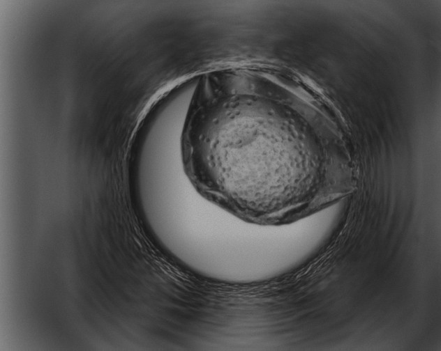 X0000052641214200507160148