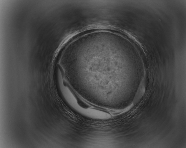 X0000052641215200507160148