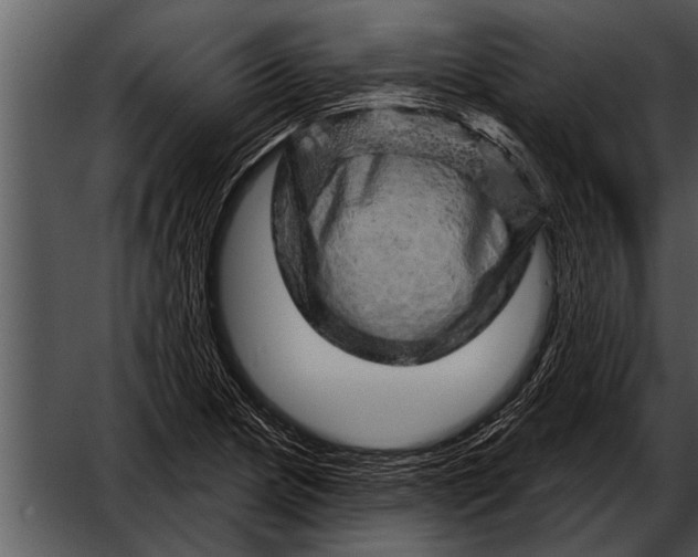 X0000052641217200507160148