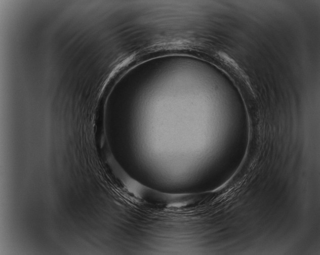 X0000052641218200507160148