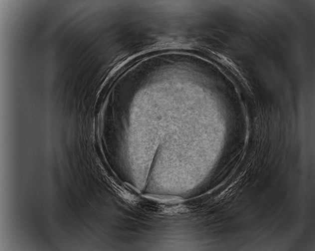 X0000052641220200507160148