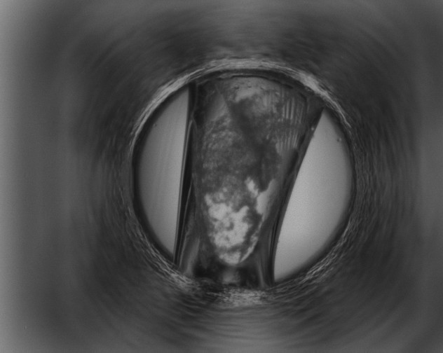 X0000052641221200507160148