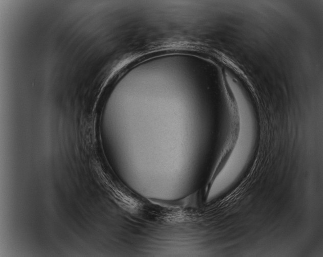 X0000052641222200507160148