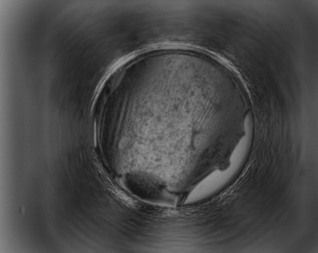 X0000052641223200507160148