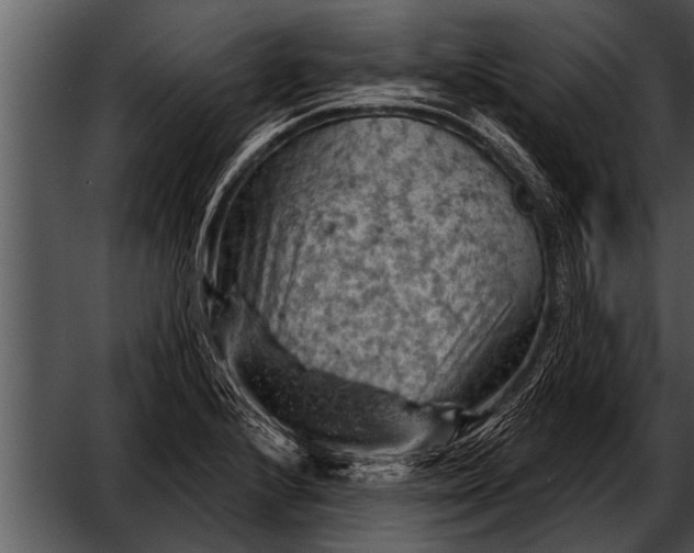 X0000052641224200507160148