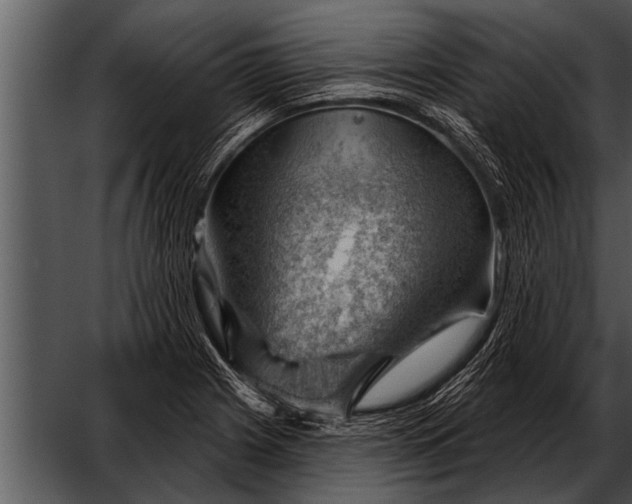 X0000052641225200507160148