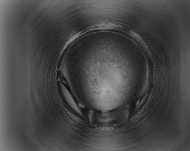 X0000052641226200507160148