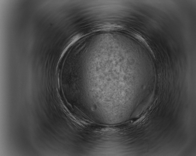 X0000052641227200507160148