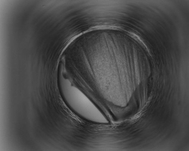 X0000052641228200507160148