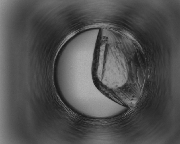 X0000052641229200507160148