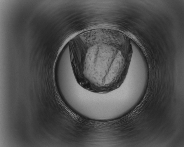 X0000052641230200507160148