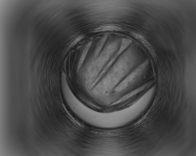 X0000052641233200507160148