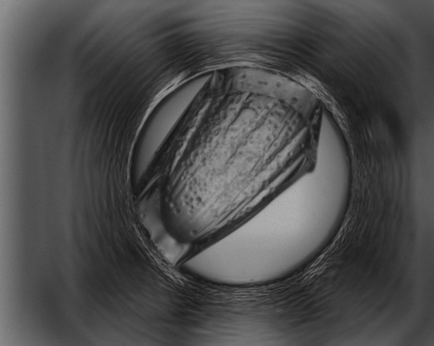 X0000052641234200507160148