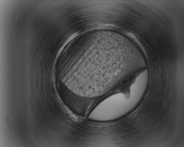 X0000052641235200507160148