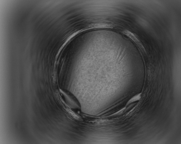 X0000052641236200507160148