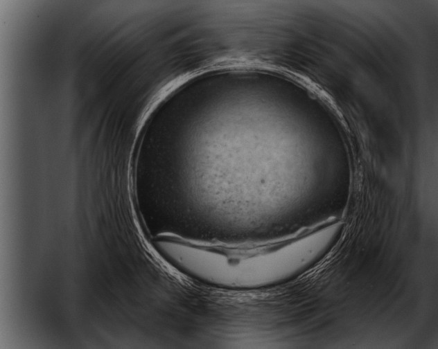 X0000052641239200507160148