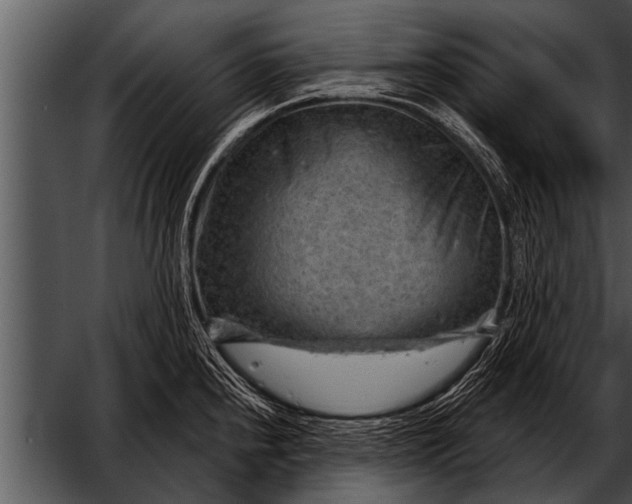 X0000052641240200507160148